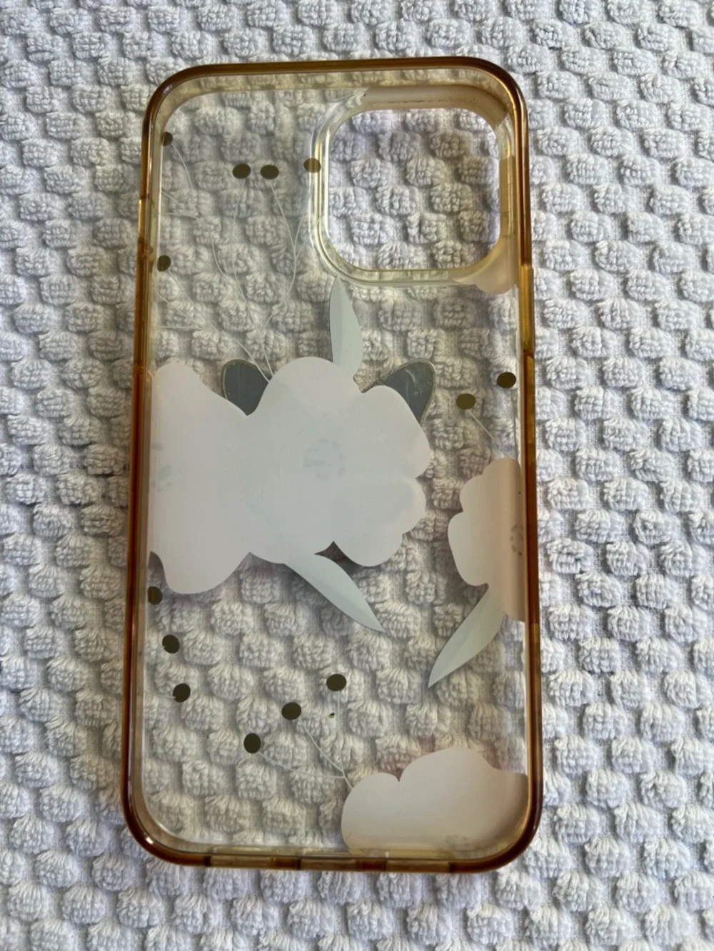 12/13 Pro Max cp cases